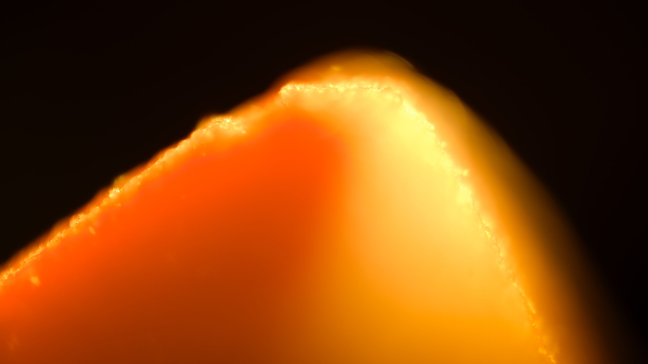 Stefano Ricci Fragrances Digital Campaign - Luxury photography by Tailer Darden Studio Florence